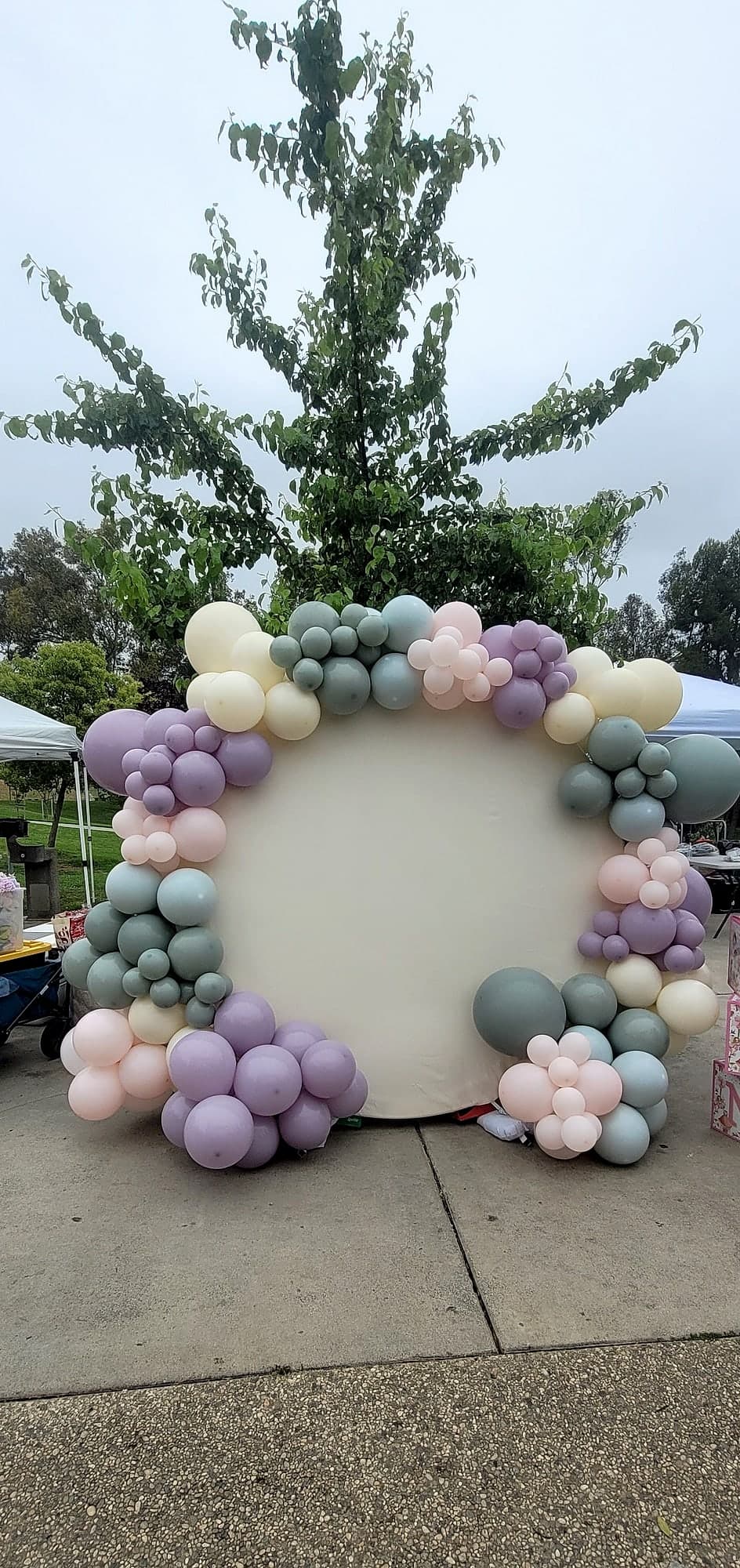 Pastel balloon circle backdrop in mauve, sage, and blush.